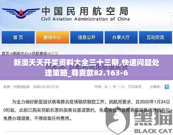 新澳天天开奖资料大全三十三期,快速问题处理策略_尊贵款82.163-6
