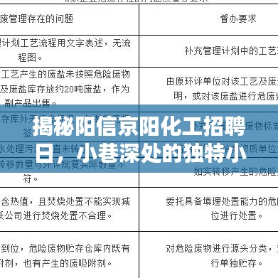 阳信京阳化工招聘日探秘，小巷深处的独特小店等你来发掘！