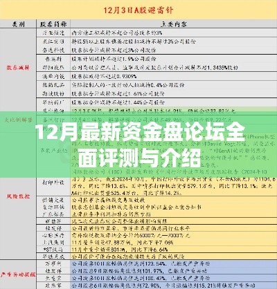 最新资金盘论坛全面测评与介绍，深度剖析十二月最新动态