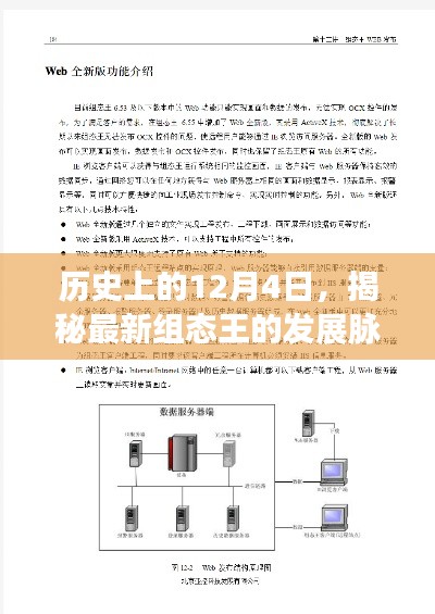 2024年12月6日 第17页