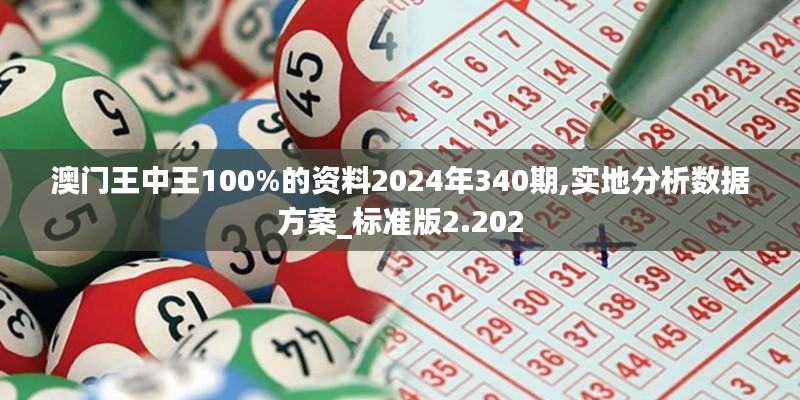 澳门王中王100%的资料2024年340期,实地分析数据方案_标准版2.202