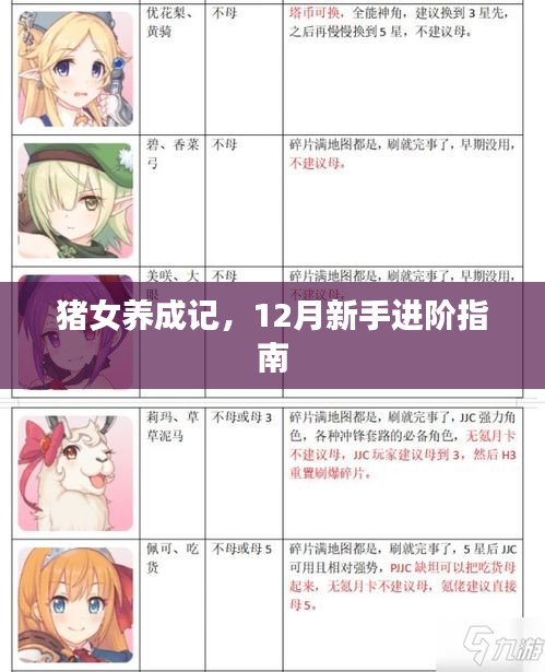 猪女养成记，12月新手进阶攻略