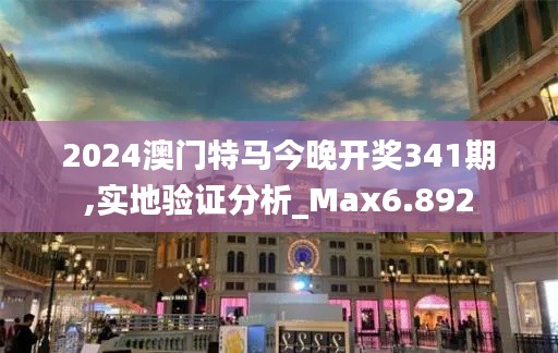 2024澳门特马今晚开奖341期,实地验证分析_Max6.892