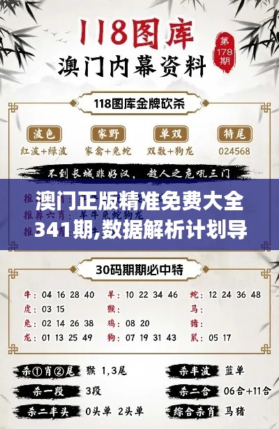 澳门正版精准免费大全341期,数据解析计划导向_旗舰款10.794