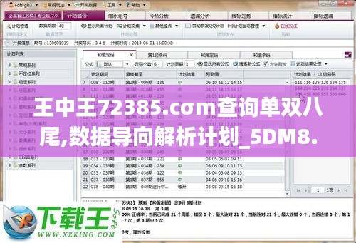 王中王72385.cσm查询单双八尾,数据导向解析计划_5DM8.370