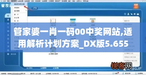 管家婆一肖一码00中奖网站,适用解析计划方案_DX版5.655