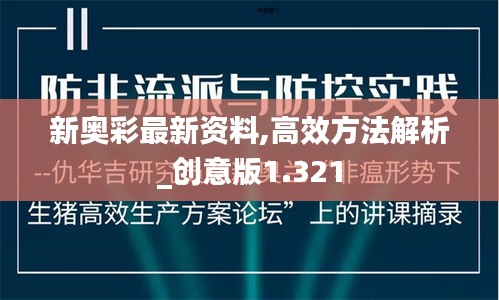 新奥彩最新资料,高效方法解析_创意版1.321