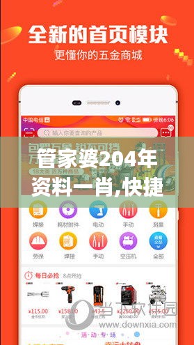 管家婆204年资料一肖,快捷问题解决指南_Essential6.989