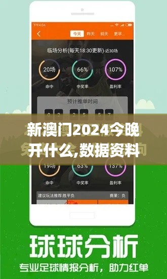 新澳门2024今晚开什么,数据资料解释定义_Phablet17.458