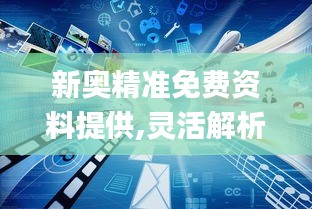 新奥精准免费资料提供,灵活解析执行_移动版11.751