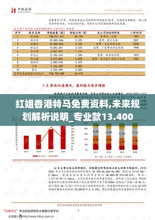 红姐香港特马免费资料,未来规划解析说明_专业款13.400