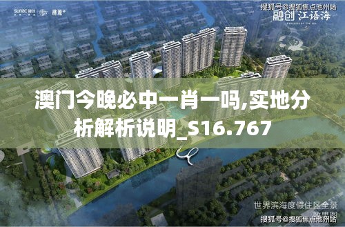 澳门今晚必中一肖一吗,实地分析解析说明_S16.767