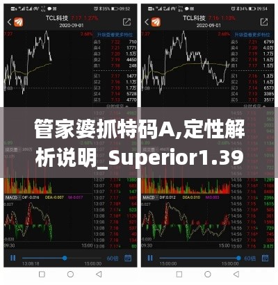 管家婆抓特码A,定性解析说明_Superior1.393