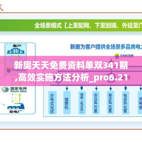 新奥天天免费资料单双341期,高效实施方法分析_pro6.211