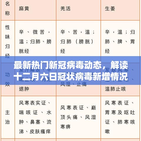 最新热门新冠病毒动态解读，十二月六日冠状病毒新增概况