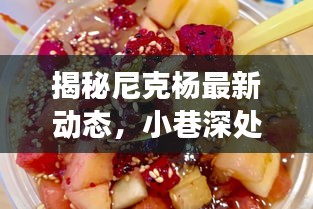 尼克杨最新动态揭秘，小巷深处的隐藏美食宝藏探索