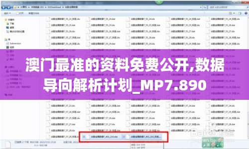 澳门最准的资料免费公开,数据导向解析计划_MP7.890