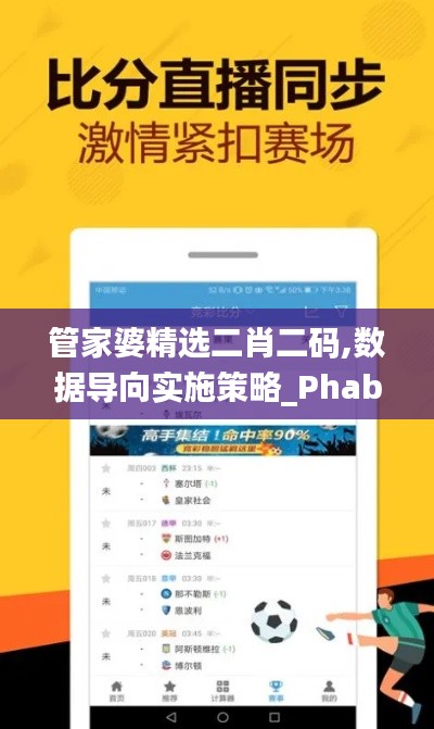 管家婆精选二肖二码,数据导向实施策略_Phablet7.653