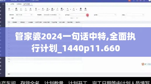 管家婆2024一句话中特,全面执行计划_1440p11.660