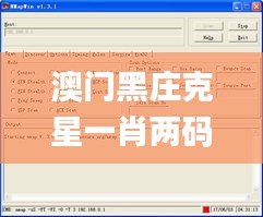 澳门黑庄克星一肖两码,状况评估解析说明_Windows8.875