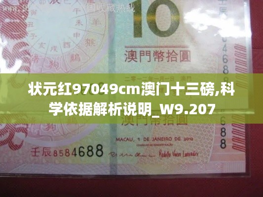 状元红97049cm澳门十三磅,科学依据解析说明_W9.207