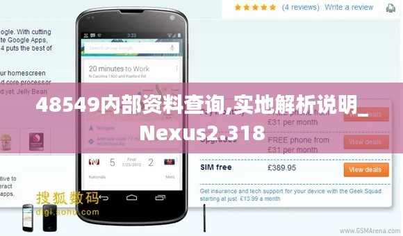 48549内部资料查询,实地解析说明_Nexus2.318