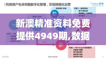 新澳精准资料免费提供4949期,数据驱动分析决策_BT8.331