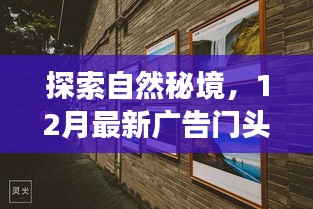 最新广告门头带你启程探索自然秘境，寻找内心平静的力量之旅