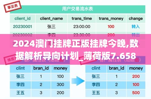 2024澳门挂牌正版挂牌今晚,数据解析导向计划_薄荷版7.658