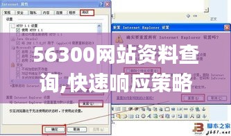 56300网站资料查询,快速响应策略解析_AP10.689