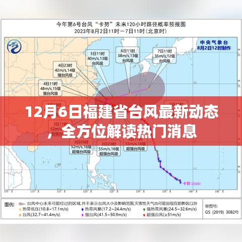 2024年12月8日 第25页