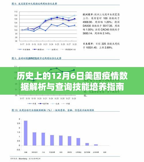 美国疫情数据解析与查询技能培养指南，聚焦历史性的十二月六日数据解读