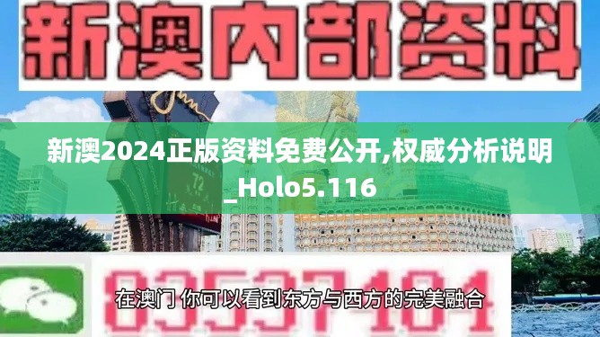 新澳2024正版资料免费公开,权威分析说明_Holo5.116