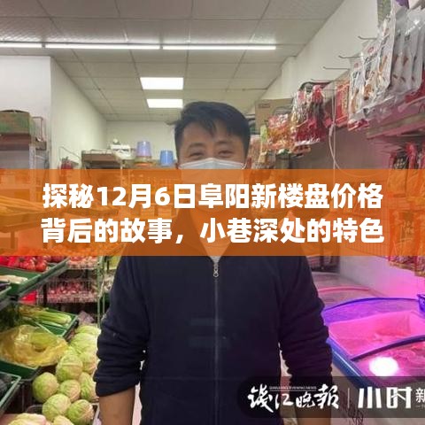 探秘阜阳新楼盘价格背后的故事与小街巷深处的特色小店之旅