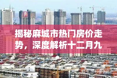 麻城市热门房价走势揭秘，深度解析十二月九日市场现状