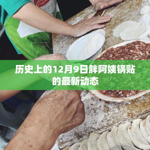 历史上的12月9日，胖阿姨锅贴的最新动态回顾