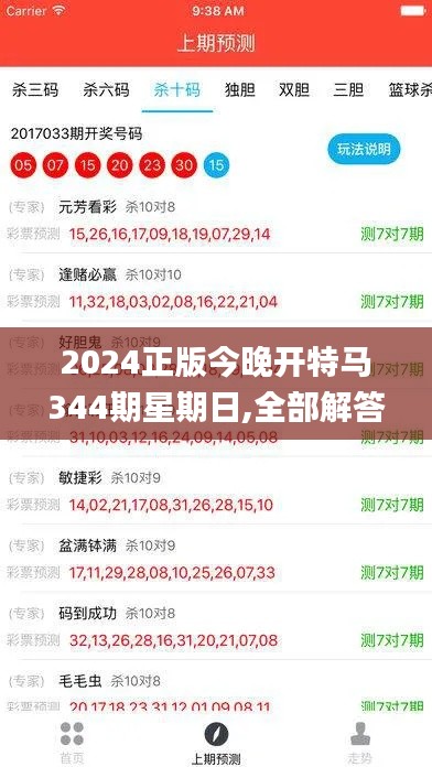 2024正版今晚开特马344期星期日,全部解答解释落实_钻石版10.446