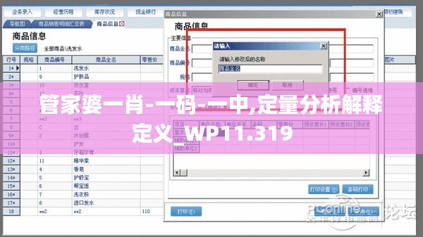 管家婆一肖-一码-一中,定量分析解释定义_WP11.319