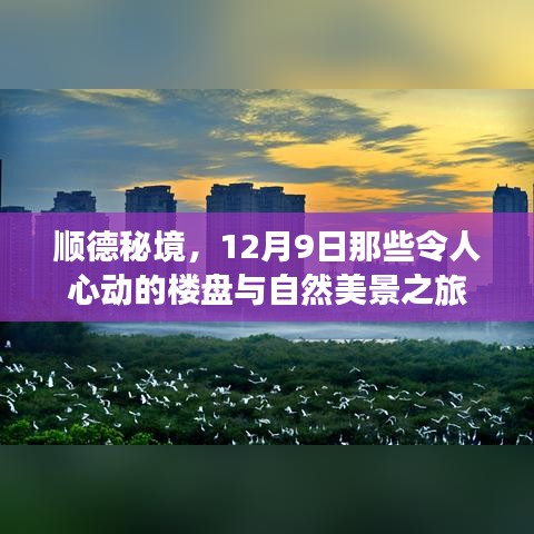 顺德秘境，探寻心动楼盘与自然美景之旅（12月9日）