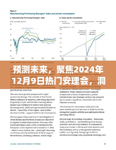 洞悉未来，聚焦2024年安理会，国际安全局势预测与深度解析