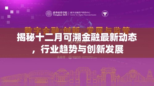 揭秘十二月可溯金融最新动态，行业趋势与创新发展深度解析