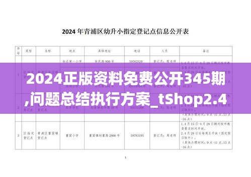 2024正版资料免费公开345期,问题总结执行方案_tShop2.442