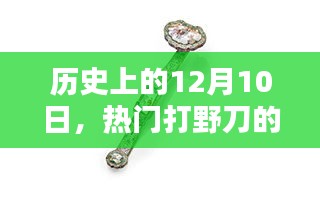 12月10日热门打野刀的深度解析与介绍