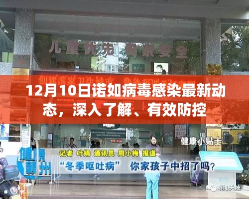 诺如病毒感染最新动态，深入了解与有效防控（12月10日更新）