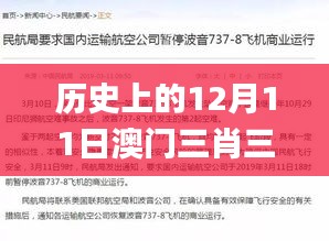 历史上的12月11日澳门三肖三码精准100%黄大仙,实地验证策略方案_XP9.192