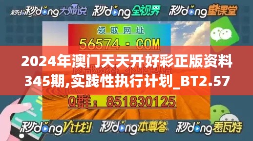 2024年澳门天天开好彩正版资料345期,实践性执行计划_BT2.576