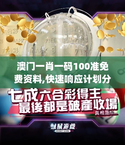 澳门一肖一码100准免费资料,快速响应计划分析_MT8.517