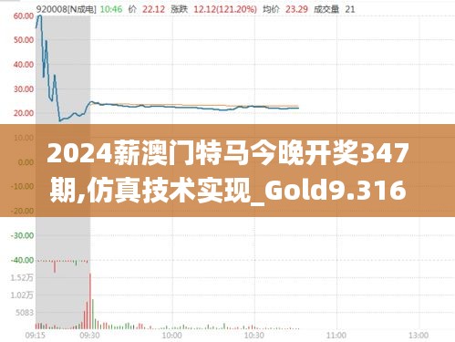 2024薪澳门特马今晚开奖347期,仿真技术实现_Gold9.316