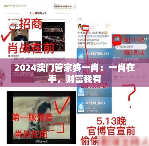 2024澳门管家婆一肖：一肖在手，财富我有