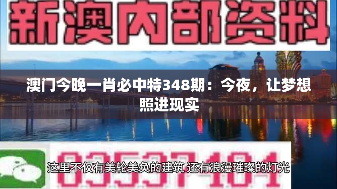 澳门今晚一肖必中特348期：今夜，让梦想照进现实